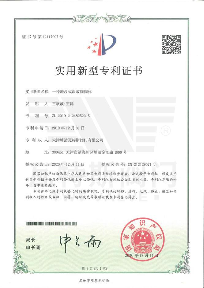 一種（zhǒng）淹沒（méi）式（shì）泄放（fàng）閥閥體