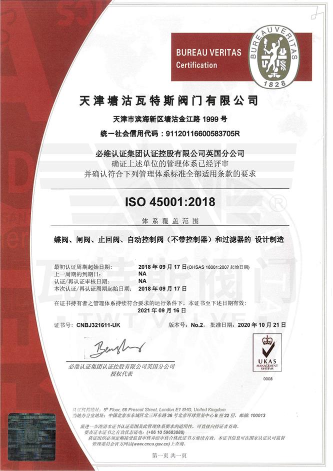 ISO-45001必（bì）維認證中文