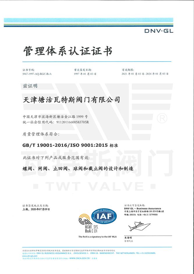 ISO-19001：2015質（zhì）量體係認證中文