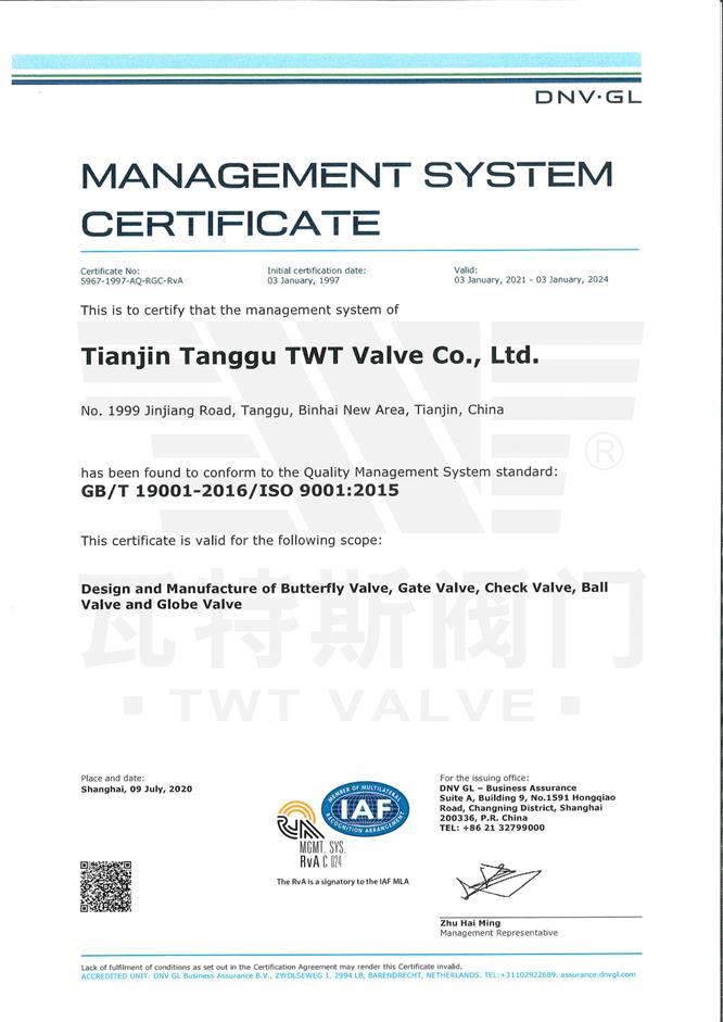 ISO-19001：2015質量體係認證英文（wén）